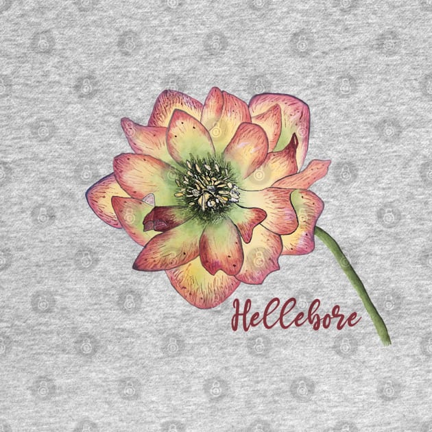 Hellebore flower watercolor by artsytee